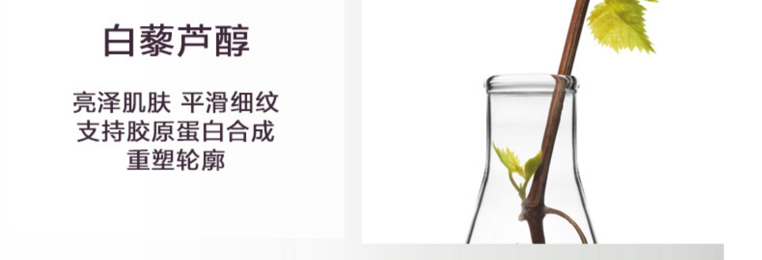 欧缇丽葡萄籽精华180粒进口