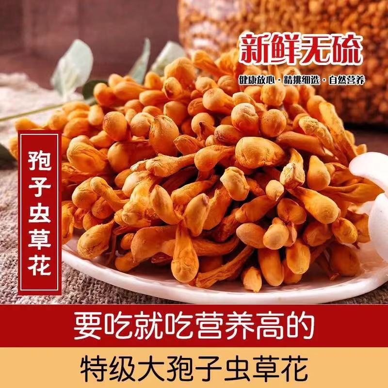 Fresh wild cordyceps flower dry goods natural golden chrysalis northern cordyceps mushroom super spore head soup ingredients canned