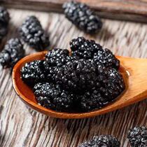 Xinjiang black mulberry dry wild special grade big fruit free of sand no sugar and no sugar natural readymade tea smooth and abundant 500G