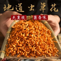 Fresh Special Class Wild New Goods Caterpillar Fungus Flowers Dry Goods Golden Pupa North Caterpillar Fungus Oyster Mushroom grade Spore Head Saucepan Soup for the Year of the Food
