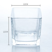 Transparent hydroponic glassware large plant glass flowerpot green flower pot Green Square vase living room water culture square steel ware