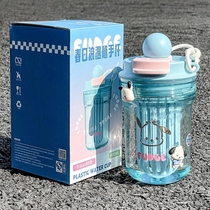 2024 New Double Drinking Straw Tritan Cup High Temperature Resistant Plastic Cup Girls High-Looking Portable Water Cup Summer