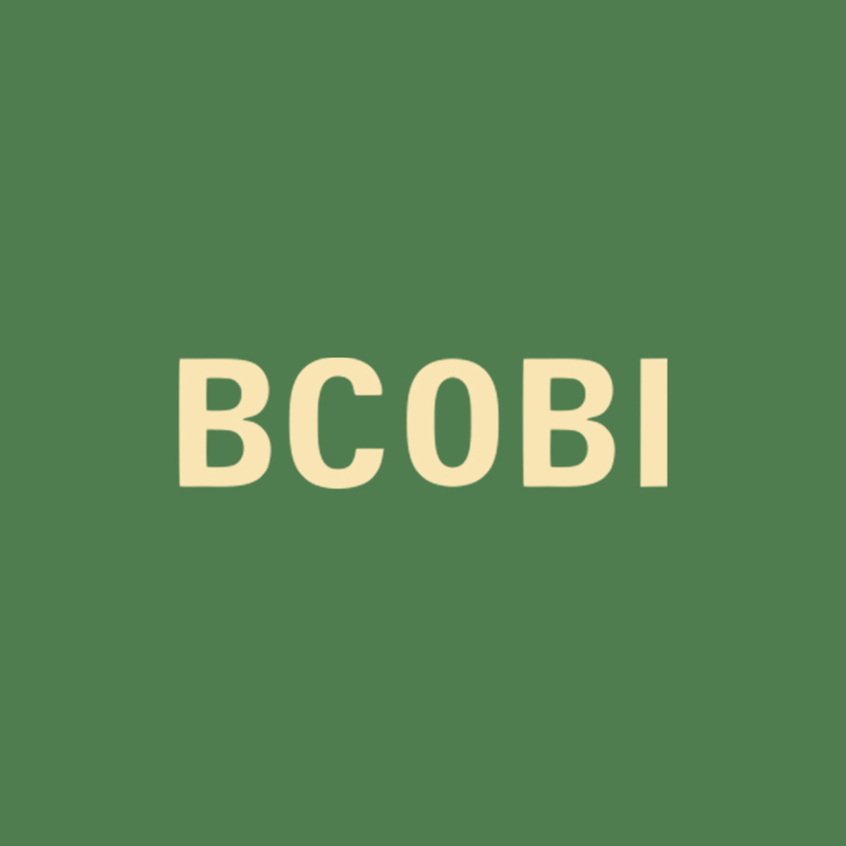 BCOBI旗舰店