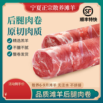 Freshly cut lamb pure mutton rolls Ningxia Yanchitan mutton hot pot ingredients whole 5 pounds