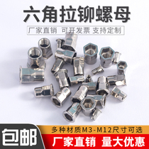 Stainless steel hexagon rivet nut Flat head small countersunk head inside and outside hexagon rivet nut M3M4M5M6M8M10M12