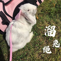 Rabbit rope out rope Chest back can be anti-bite slip Rabbit rope Chinchilla Dutch Pig pet clothes traction rope anti-break free cute