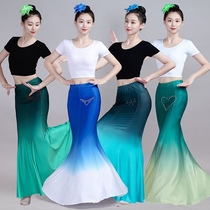 Dai Ethnic Dance Dress Rehearsals Performance Suit Womens Art Cao Peacock Dance Fish Tail Skirt Half body dress Dai ethniques practice robe