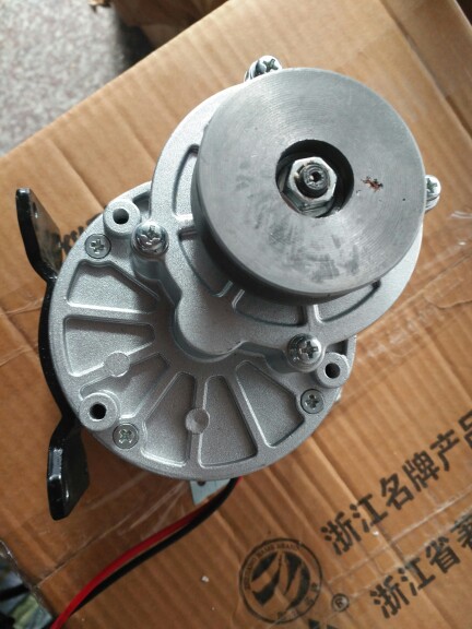 Eunette decelerated motor 1016Z2 12V 24V250W350W belt pulley motor playground motor vehicle motor