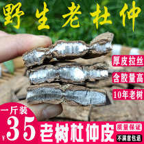 Guangxi wild eucommia Chinese medicinal material eucommia powder postpartum confinement soup for men to make tea and wine 500g