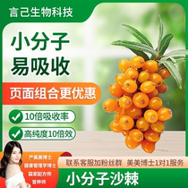 Small molecule sea buckthorn peptide