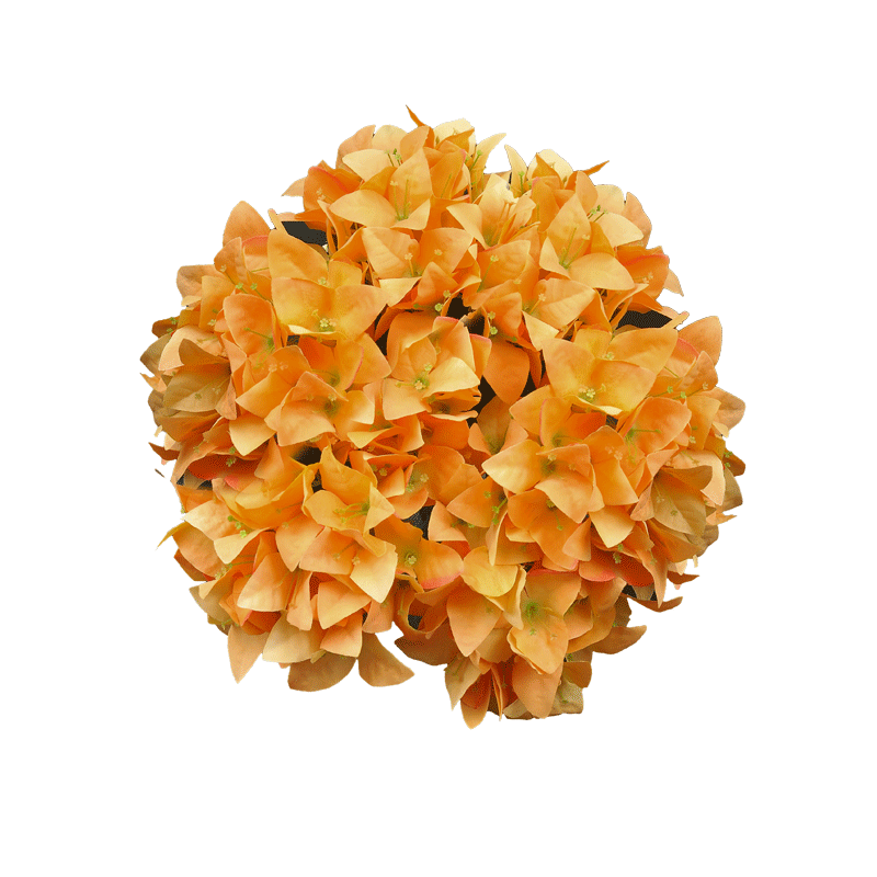 Pequeño ramo de hortensias para boda