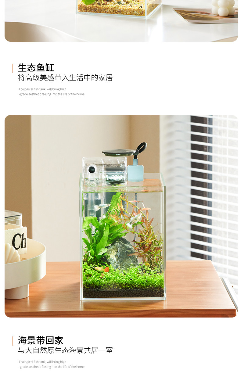 MINI Ecological Fish Tank Setup - Tropical Aquatic Shop