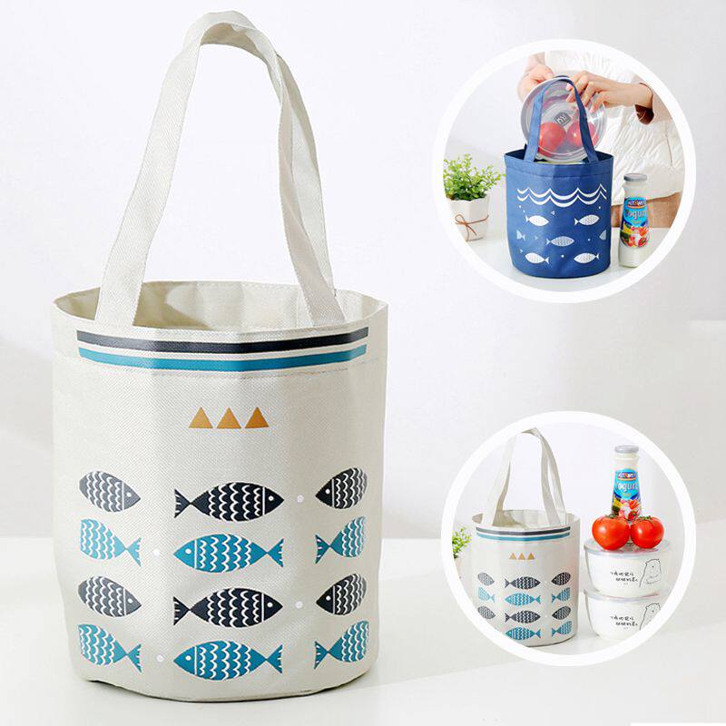 Lunch box bag hands improve appearance lunch box bag handbag fashion waterproof insulation student work cartoon canvas