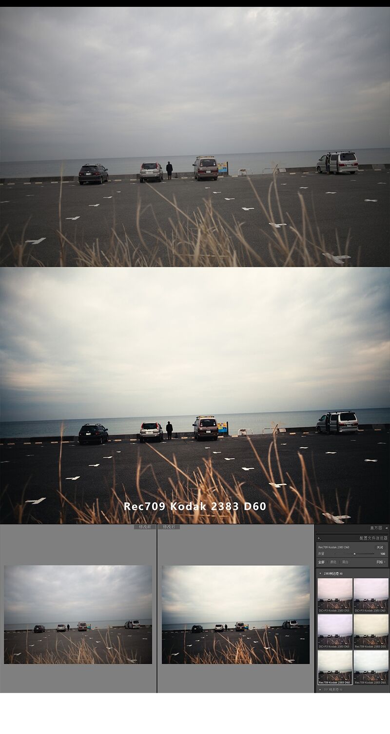 图片[8]-2383电影卷配置文件预设 LUTs 日系柯达胶片PS滤镜Camera Raw预设-cg男孩