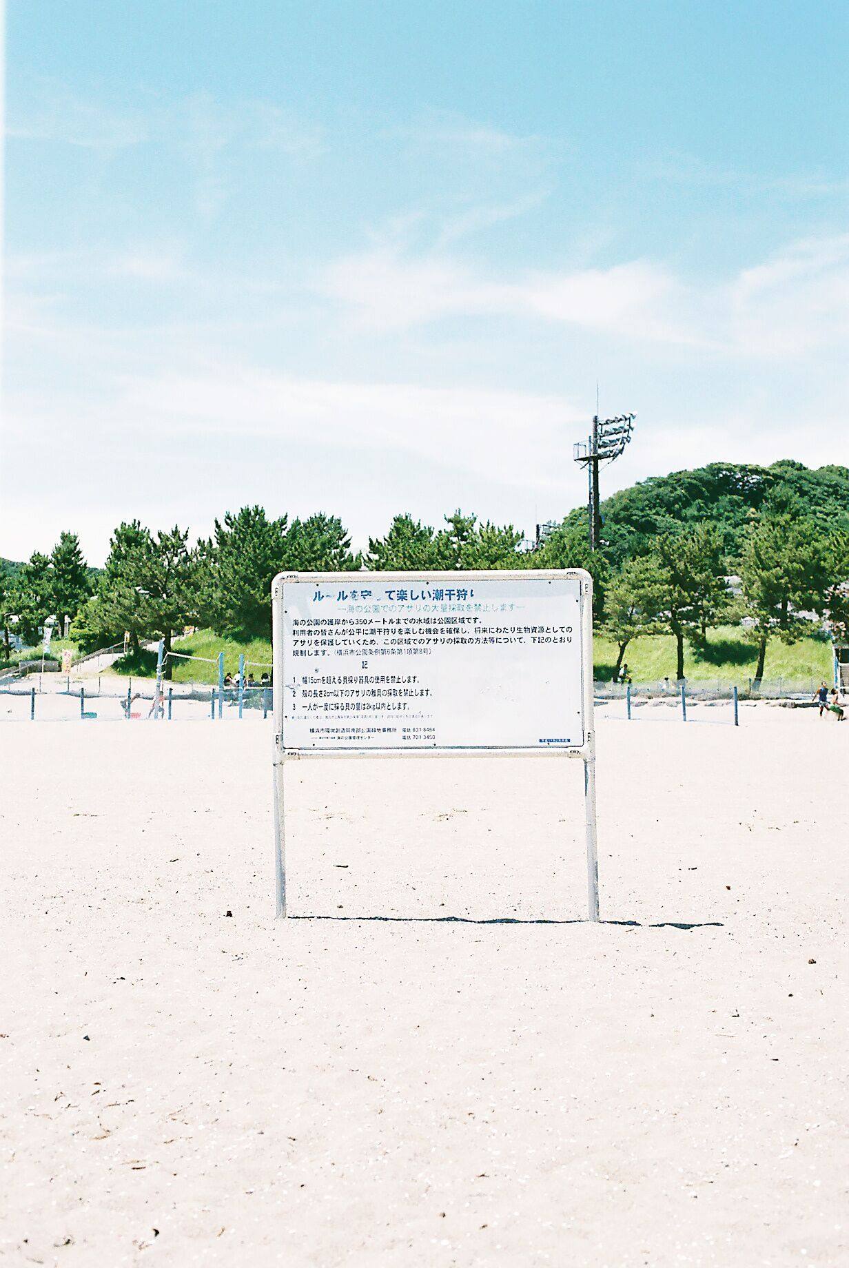 图片[10]-富士胶片配置文件预设 SP3000扫描仪胶片色调 PS/ACR 预设LR滤镜-cg男孩