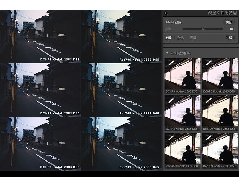 图片[5]-2383电影卷配置文件预设 LUTs 日系柯达胶片PS滤镜Camera Raw预设-cg男孩