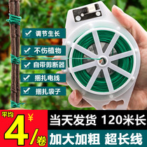 Multifunctional Gardening Iron Wire Flower Racks Strapping Line Climbing Vine straps Garroughing up Overlong Trapped Wire Bring your own cut