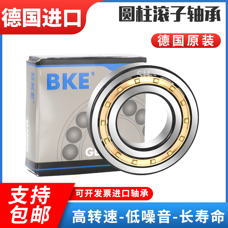 Germany imported cylindrical roller bearings NJ NU N 232 234 236 238 240 244 248 252