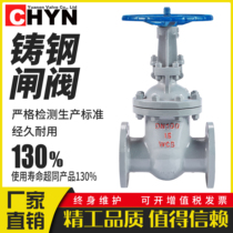 Yuanen WCB cast steel carbon steel national standard flange gate valve Z41H-1016 25 water high temperature steam heat transfer oil DN100