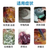 Пакет увеличения количества яиц для животноводства Airi V*E устраняет овит, снижает количество неоплодотворенных яиц, откладывает одно яйцо, улучшает племенных голубей и увеличивает яйценоскость