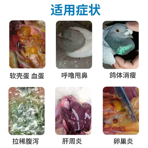 Пакет увеличения количества яиц для животноводства Airi V*E устраняет овит, снижает количество неоплодотворенных яиц, откладывает одно яйцо, улучшает племенных голубей и увеличивает яйценоскость