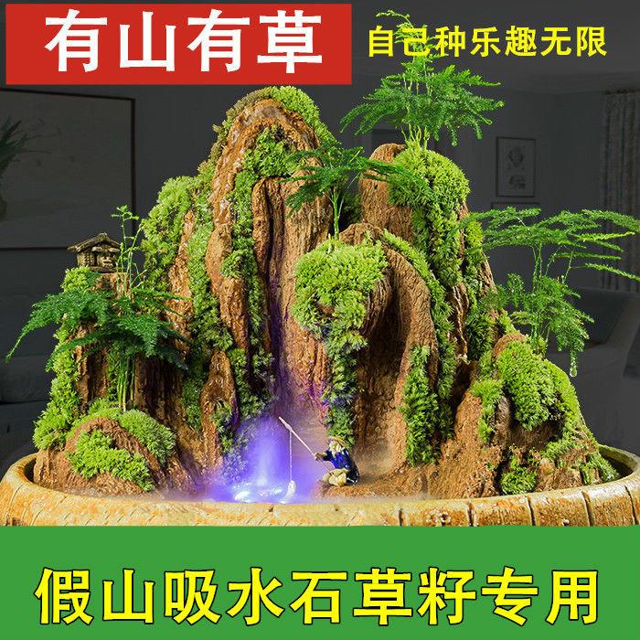 Fish tank landscape flower pot landscape small grass epidite with four seasons green moss seed grass seed water grass live spotting microscopic