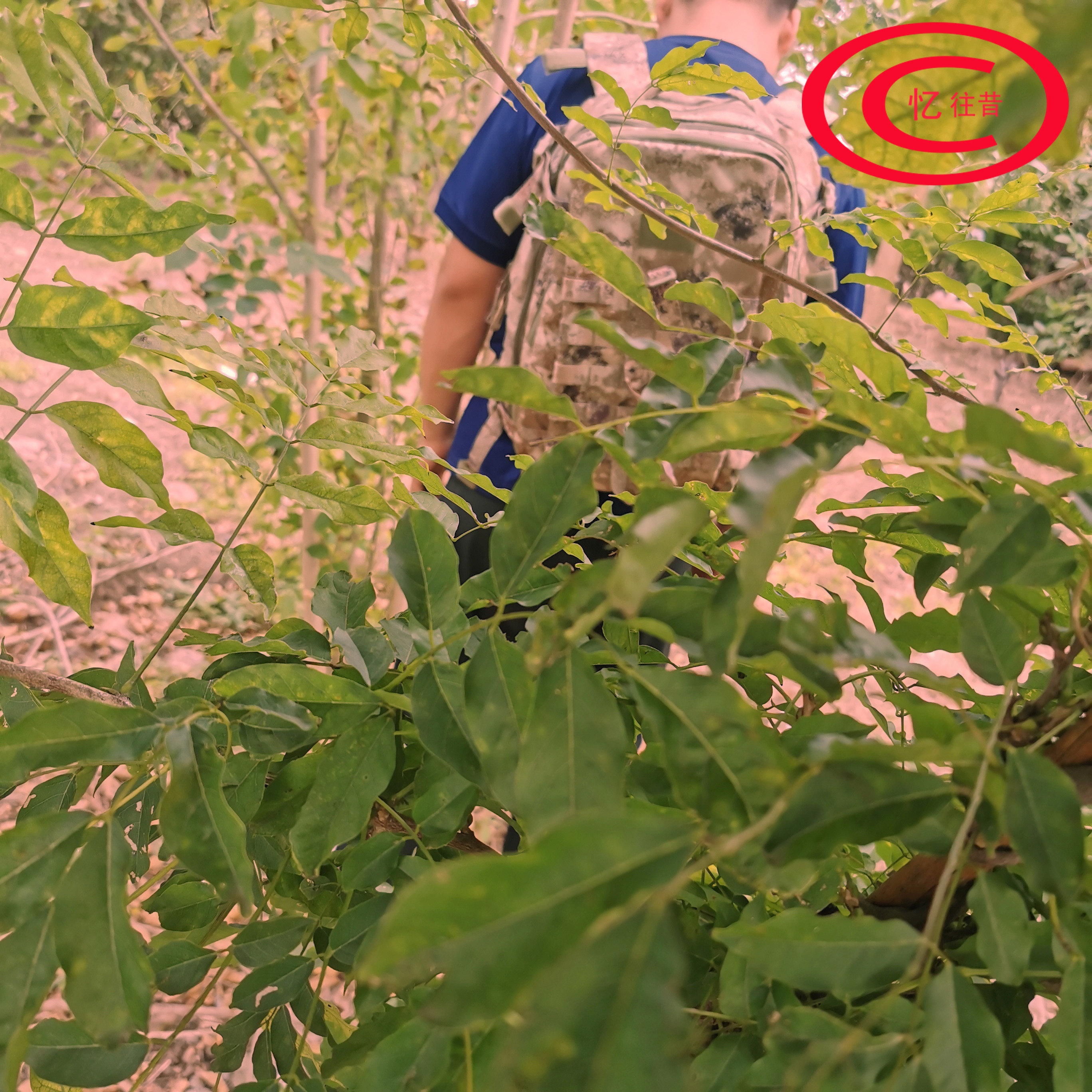 Amnesia Outdoor Large Capacity Mountaineering Travel Bag Wild New Tactical Assault Double Shoulder Bag