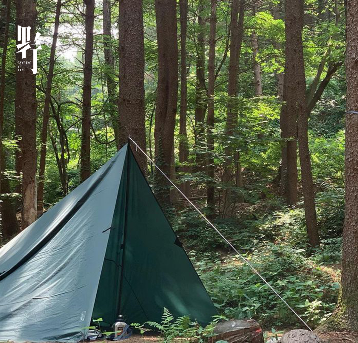 DD Hammocks canopy 5x5 square outdoor Bushcraft camping BC survival tent rain and sun protection