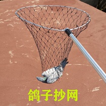 Ground net for catching pigeons