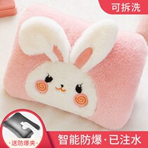 National explosion-proof hot charging warm baby plush cute hot water bottle hand warmer washable electric rebao female