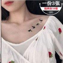 ins Wind bird set tattoo stickers waterproof men and women long-lasting dark clavicle arm swallow tattoo