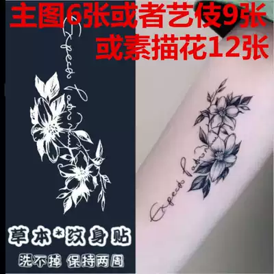 Juice vegetarian pattern body sticker small arm English alphabet Waterproof female long-lasting ins wind simulation arm herbaceous plant