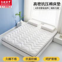 Maternal and infant grade home mattress soft cushion for rent special bedroom mat not easy to collapse single floor mat for winter and summer use
