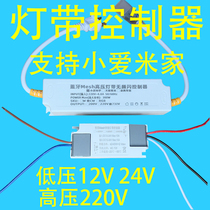 Low pressure 12V24V high pressure 220V support for small Aimee family smart tricolour lamp with controller dimming toning