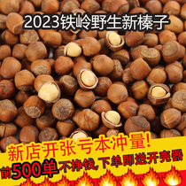 Tieling hazelnuts Northeastern specialty new goods hand-patted openings no additives thin-skinned nut snacks leaky wild large hazelnuts