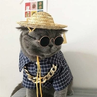 Нарричать кот британские щенки складывают ухо синий кот короткий медведь сноудан ткань ткань ткань