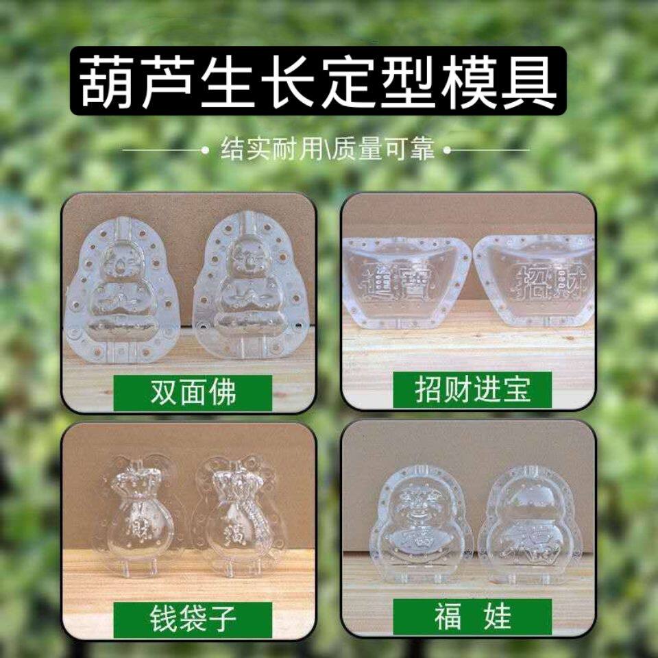 Gourd Mold Molding Eight Improper Growth Sizing Large Mini Molds Small Mold Van System Model Round Molds