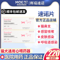 Steno Sheet 250mg Anti-inflammatory Sensation Medicine Amoxicillin Clavicate Potassium Tablet with Puppet Pets 10 slices