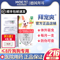 Bye-spotting dog in vitro Insect Repellent Teddy small dog with flea repellent kill ticks Bayer 4