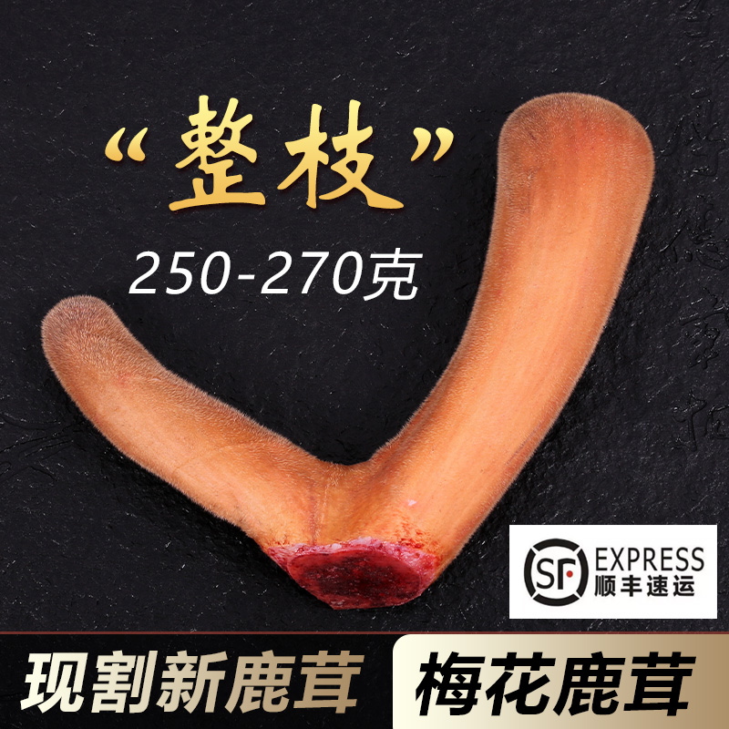 Fresh sika deer antler slices, whole branches, fresh bloody Chinese medicine, wine, medicinal materials, special gift box, whole red powder