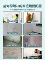 Household wall self-painting wall moldy repair paint white wall potholes filling graffiti renovation paint decontamination artifact