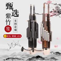  Tianjin Wangs Sheng musical instrument beginner 14 spring Fang Sheng 17 spring 21 spring round sheng Zizhu PA sheng Professional performance