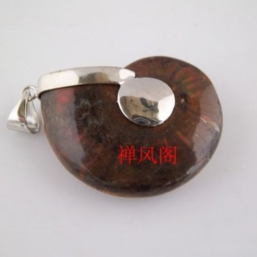  Fortune-Fat Coloured Snail-Poly Chaebol Fortune Transit Li Guming Mascot Developed Snail-Taobao