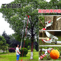 Pick cherry picking up fruit branches cherry loquat fruit branches fruit tree fruit tree scissors telescopic high-altitude cut fruit theorizer high branches cut