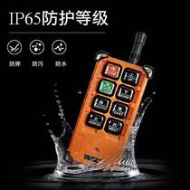 Yu Ding Industrial Remote Control F21 - E1B Electric hoist CD MD wireless control crane electric lift driving