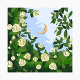 Tulip Diy Цифровая масляная живопись 2024 Новый цветочный цвет масла.