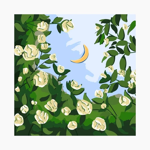 Tulip Diy Цифровая масляная живопись 2024 Новый цветочный цвет масла.