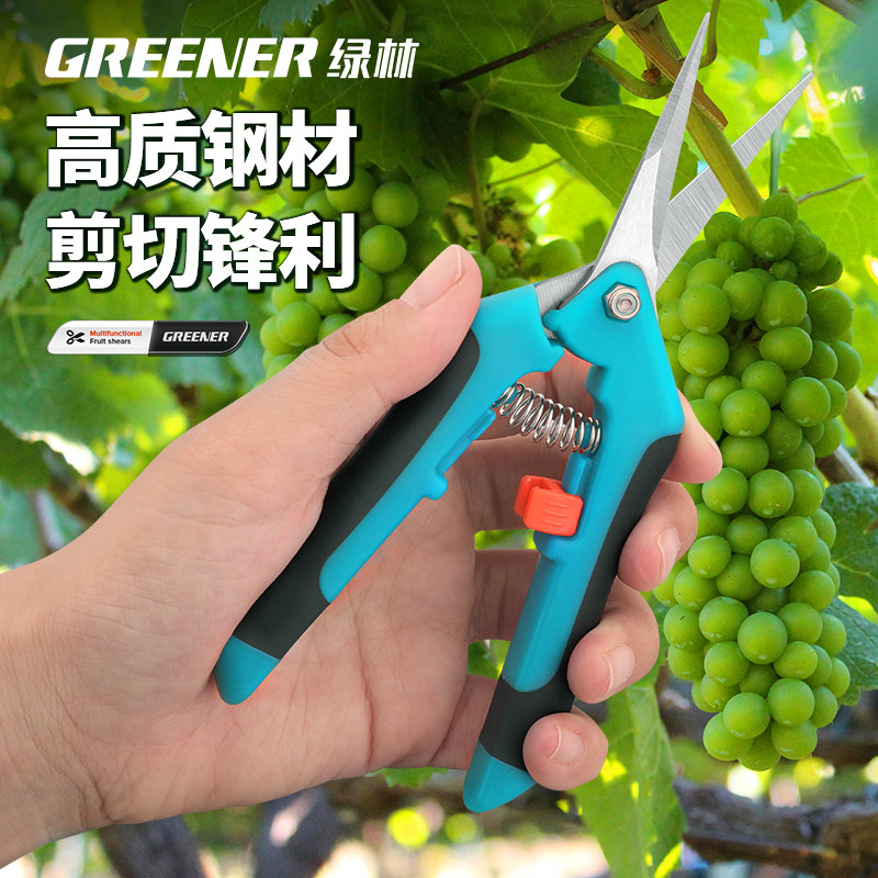 绿林摘果剪不锈钢修枝剪园艺剪刀摘葡萄盆栽剪枝剪刀花艺专用剪刀