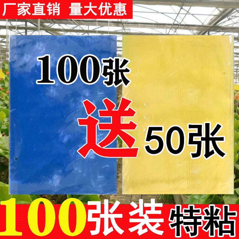 Fruit fly trap paste fruit tree sticky board yellow blue insect trap board thistle mark star blue board household trap indoor and outdoor