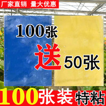 Fruit fly trapping paste fruit tree sticky insect board yellow-blue lure board thistle mark star blue board household trap indoor and outdoor